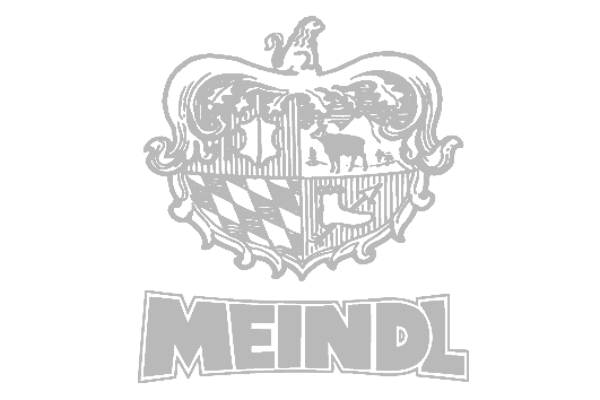 logo-ex-meindl